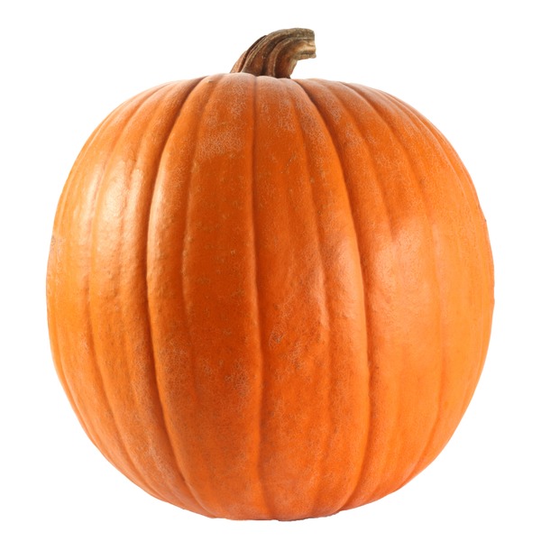Jumbo Pumpkin