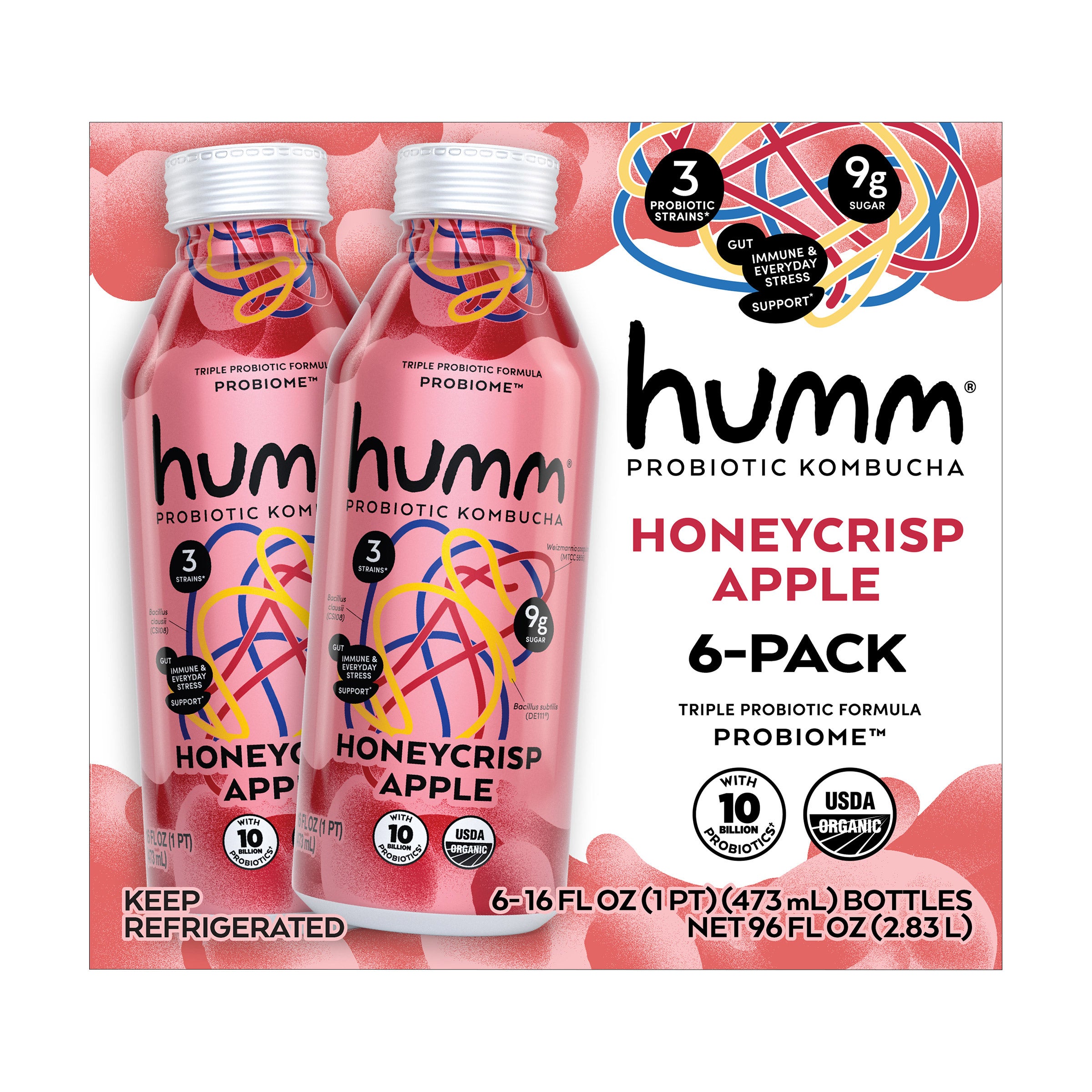 Humm Honeycrisp Apple Kombucha 6-16 oz